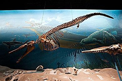 《瘟疫危机》开发商解释下架原因：游戏落伍了